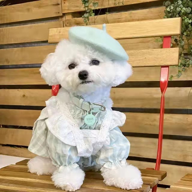 Dog Beret Hat Cats Hats Fashion Four Seasons Funny Wool Winter Pet Hat - 图片 7