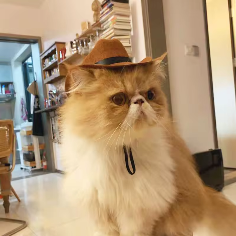 Cowboy Pet Hat Cosplay Cap for Dogs and Cats Six Colors - 图片 5