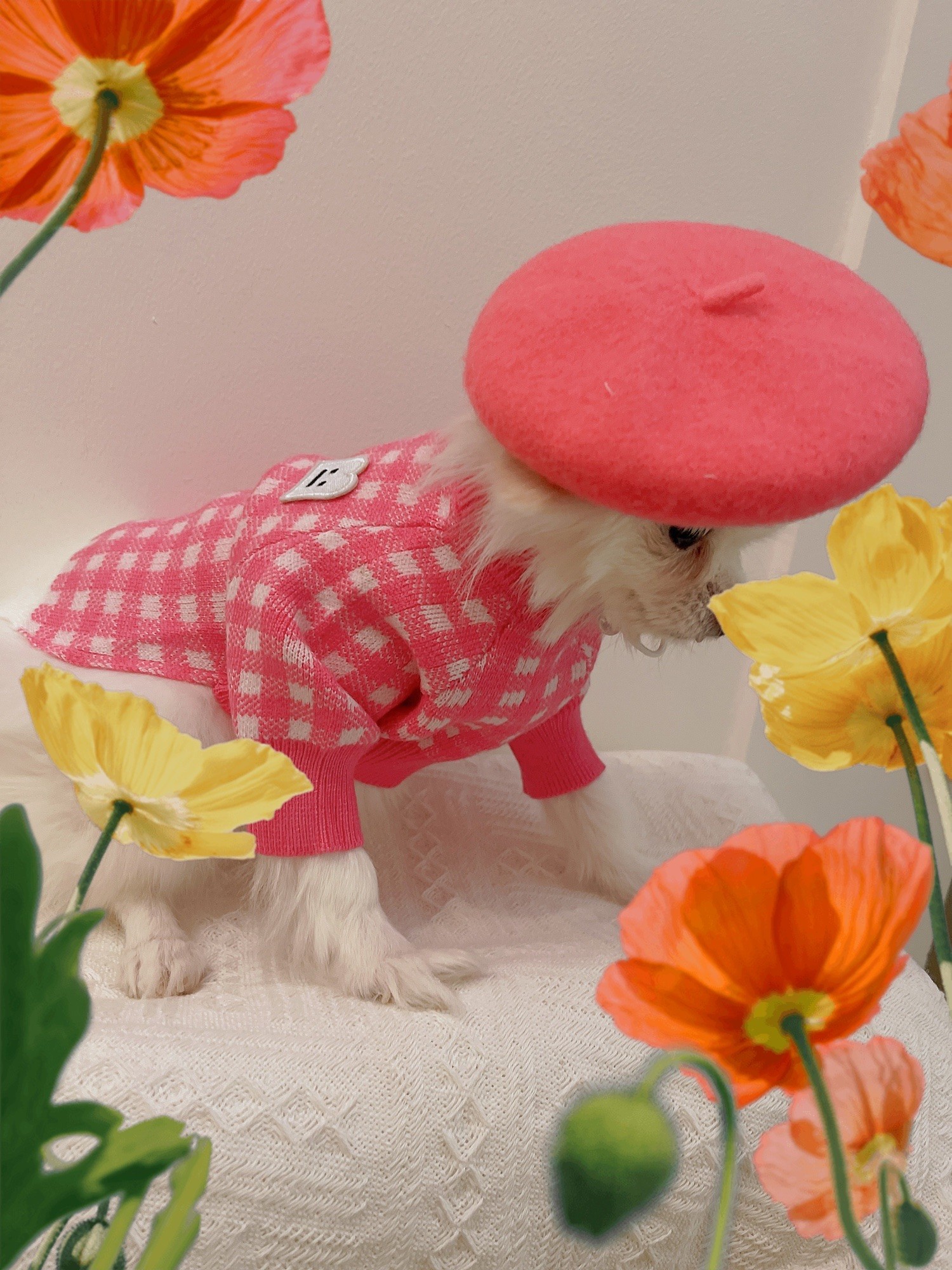 Dog Beret Hat Cats Hats Fashion Four Seasons Funny Wool Winter Pet Hat - 图片 2