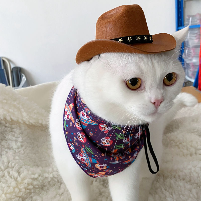 Cowboy Pet Hat Cosplay Cap for Dogs and Cats Six Colors - 图片 4
