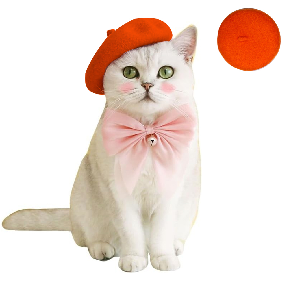Dog Beret Hat Cats Hats Fashion Four Seasons Funny Wool Winter Pet Hat